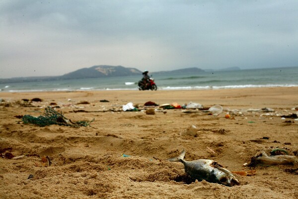 낚시 활동자가 늘어나면서 낚시 바늘이나 그물 등 쓰레기도 동시에 늘어나면서 해양 생태계 파괴가 우려되고 있다. [사진=픽사베이]