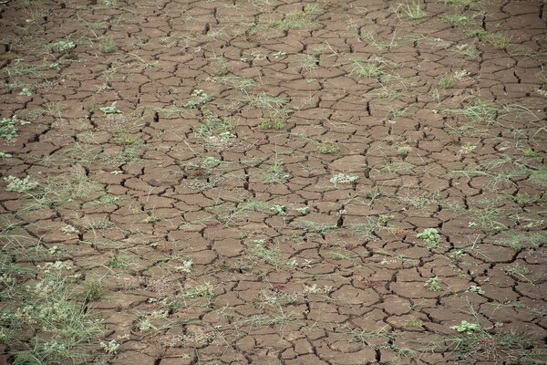 세계 곳곳에서 최악의 가뭄 현상이 나타나고 있는 가운데 우리나라도 반복적인 가뭄 피해지역이 발생하고 있지만 이를 해소할 물 공급이 미흡한 실정이다. [출처=픽사베이]