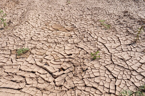기후변화로 세계 곳곳이 최악의 가뭄을 겪고 있는 가운데 원활하지 못한 수자원으로 다양한 문제가 발생하고 있다. [사진=픽사베이]