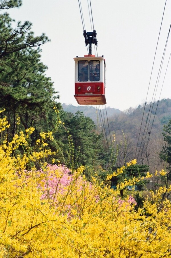 보문산 케이블카 운행 모습. [출처=대전시 공식블로그]